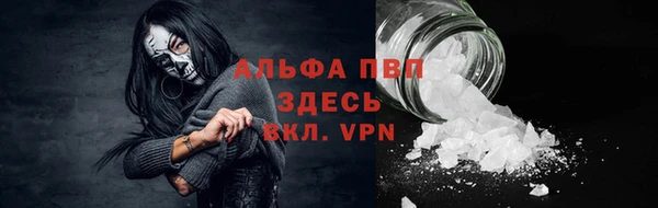 тгк Верея