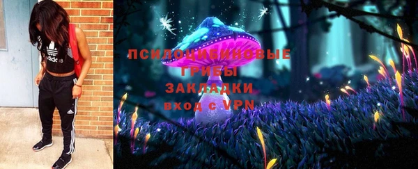 Альфа ПВП Бородино