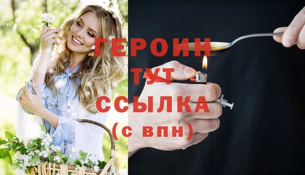 индика Сатка